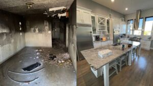 Fall Renovation