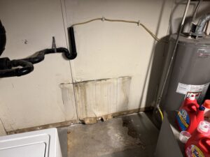 Mold Remediation in Kansas City