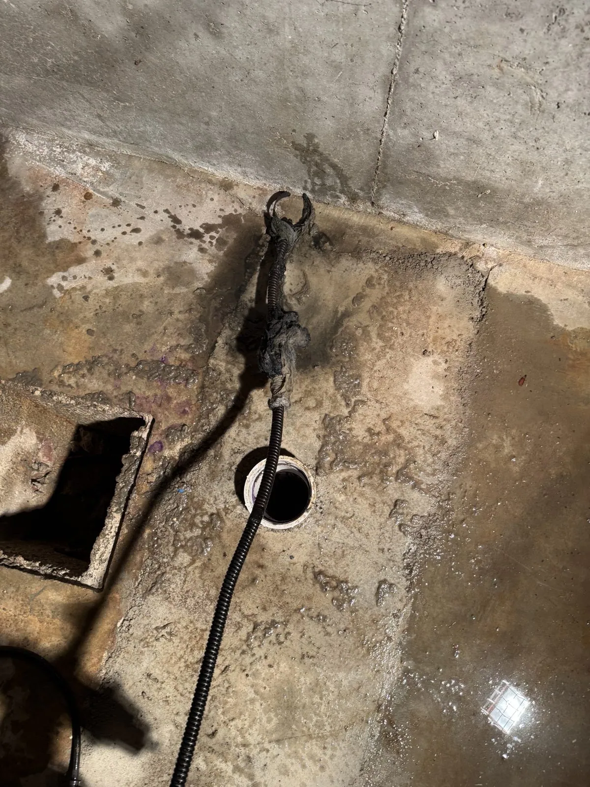 Wipes and debris pulled from a clogged sewer line that caused a sewage backup